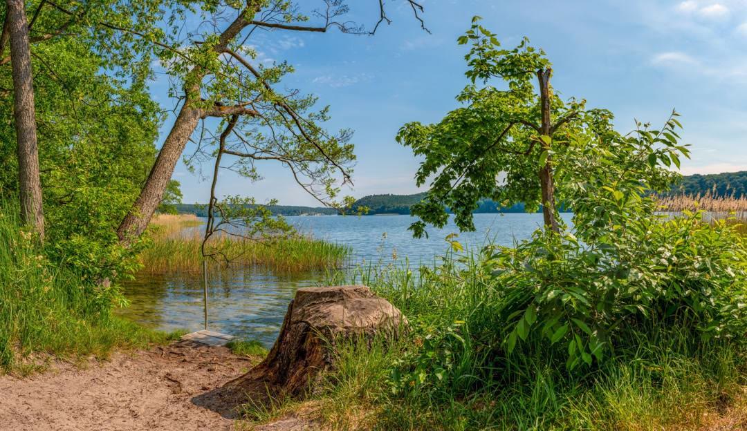 Werbellinsee